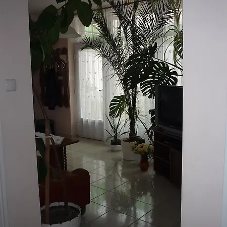 Zsigmond Vendeghaz Keszthely