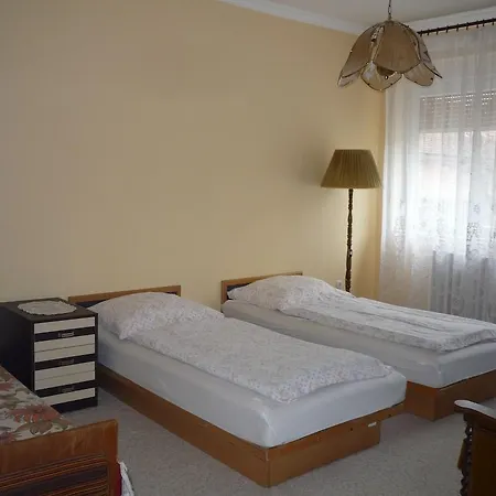 度假居 Zsigmond Vendeghaz 凯斯特海伊