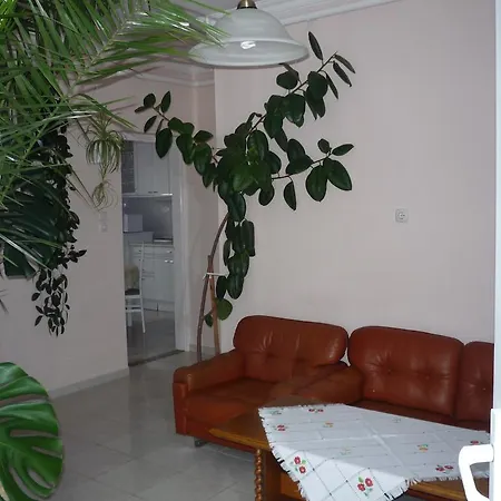 Zsigmond Vendeghaz 凯斯特海伊