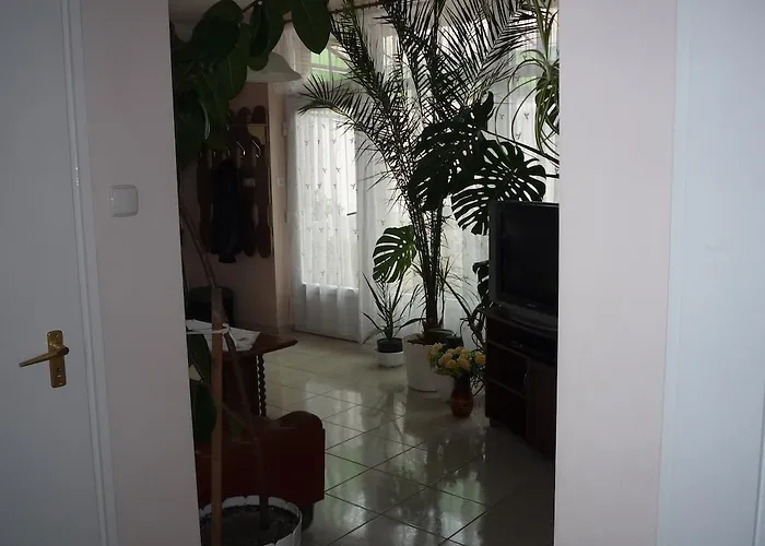 Zsigmond Vendeghaz Keszthely