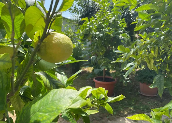 Casa vacanze Zsigmond Vendeghaz *