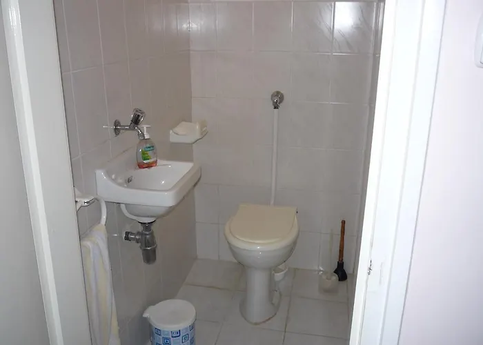 Zsigmond Vendeghaz كيستاي