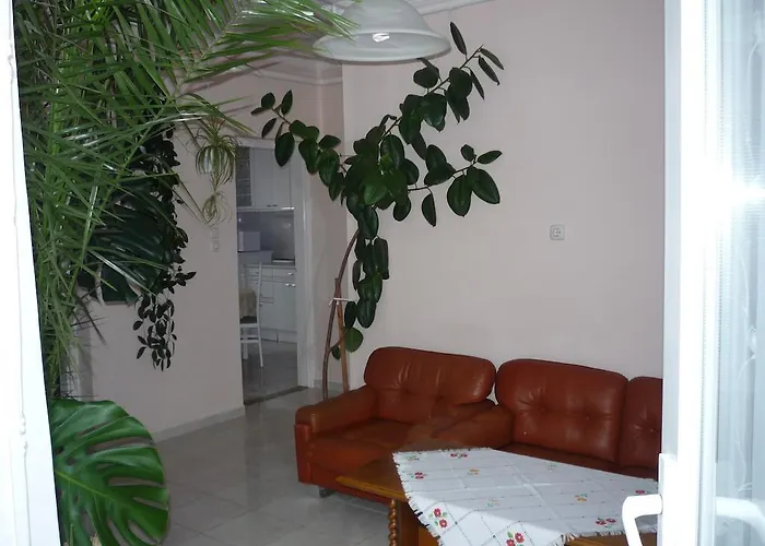 Zsigmond Vendeghaz كيستاي